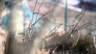 Vivitar 70-150mm f/3.8 Close Focusing Auto Zoom (Image quality filming)
