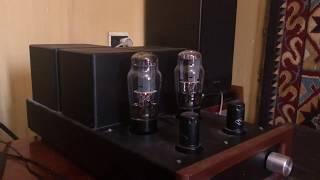 Astra A10-SE MK3, Microlab Solo7 (passive speakers) 2