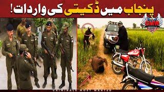 PUNJAB KE DAAKU | Criminals Most Wanted | Crime Scene