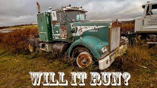 Saved from the CRUSHER! Will this ABANDONED Kenworth w900a ever run again??