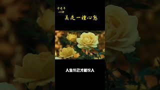 美是一種心態#中老年心語 #養老 #幸福人生 #讀書#為人處世
