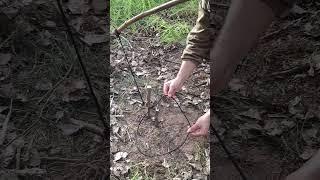 Creative trap  bushcraft #trap #survival