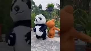 Funny Cute Panda Video ️ #shorts #panda #cute #funny 1080P HD