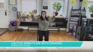 Cactus Arms Flow with Diandra