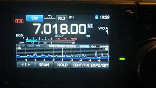 F5NZY IC 7300 Display Settings