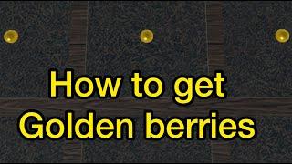 I Don't Feel So Good Simulator how to get golden berries