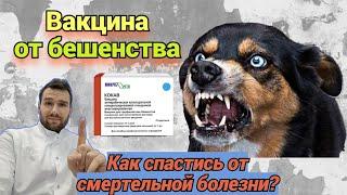 ВАКЦИНА ОТ БЕШЕНСТВА.  КАК СПАСТИСЬ ОТ СМЕРТЕЛЬНОЙ БОЛЕЗНИ?