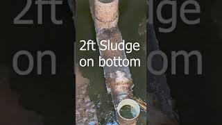 Delta Whitewater treatment tank  Inspection scum vs sludge Alternative Onsite Sewage system AOSS