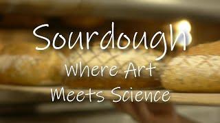 Sourdough: Where Art Meets Science