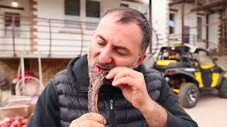 GRILLED BEAR. BEAR MEAT on CHARCOAL