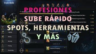 LOST ARK- CÓMO SUBIR RÁPIDO DE NIVEL LAS PROFESIONES (LIFESKILLS)? SPOTS, HERRAMIENTAS Y MÁS