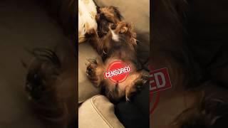 Puppy EXPOSED!!!