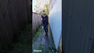 walkway cleanup! #satisfying #pressurewashing #waterblasting #selfemployed