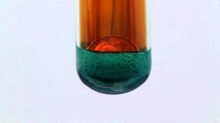 Copper Penny reacting with Nitric Acid