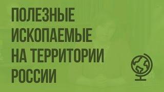 Полезные ископаемые на территории России. Видеоурок по географии 8 класс