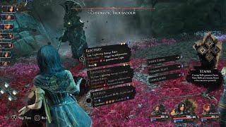 Clair Obscur: Expedition 33 did it!!!!!! Chromatic troubadour can suck it!