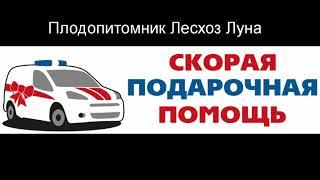 Доставка цветов в Сальске - Заказ букетов от компании Скорая подарочная помощь