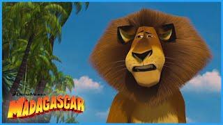 Beautiful Madagascar   | DreamWorks Madagascar