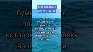 Принимай в комментариях с щедростью, БЛАГО ДАРЯ из любви к СЕБЕ  #щедрость #бумеранг