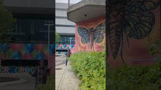60 Minutes in Toledo, Ohio. Public art, nuts, and Tony Packo's