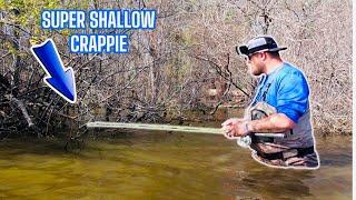 GIANT SPAWNING CRAPPIE CAN'T RESIST THIS CRAPPIE FISHING TECHNIQUE‼️CRAPPIE SPAWN 2025‼️