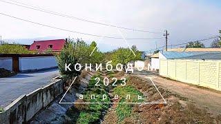 КОНИБОДОМ 2023 3 КУБРА