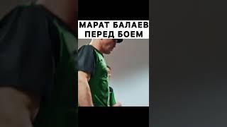 "Балаев так настраивается на БОЙ" Юсуф Раисов в Шоке