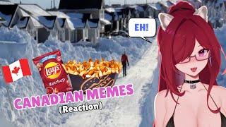 CANADIAN Reacts to FUNNY Canadian Memes | Vtuber reacts to memes