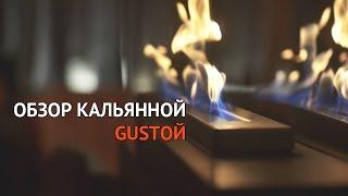 ТК - Кальянная Gusтой - Оазис в центре мегаполиса