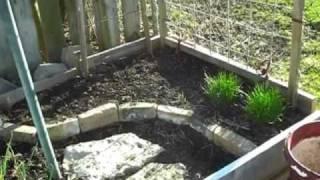 Planning and Building a Raised Bed Garden III