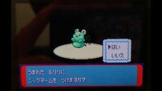 LIVE Shiny Azurill After 5396 Eggs !!! Pokèmon Emerald (Full Odds)