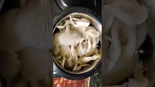 How to Make Oyster Mushroom Masala | #shorts #viral #trending #ytshorts #mushroom #recipe @MrBeast