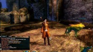 Guild Wars 2 - Mysterious Lava trap