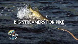 Streamers for Pike