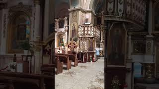 Chernivtsi Dormition Church #shorts