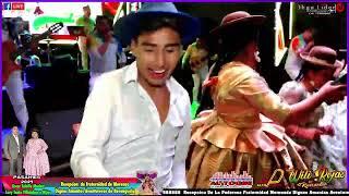 Wili Rojas - Mix / En vivo 2024 (RePlaySur©) Oficial