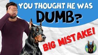 Real Doberman Owners Admit Their BIGGEST Mistakes