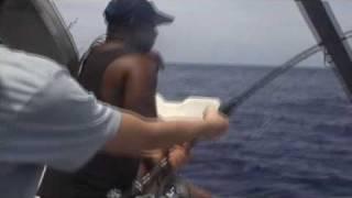 jigging nice dog tooth