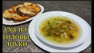 Очень вкусная УХА из головы щуки