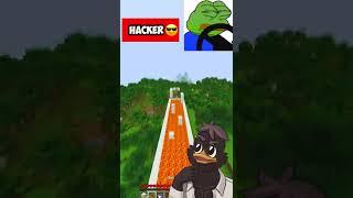 Noob PEPE vs HACKER Frog  in Minecraft... #Shorts