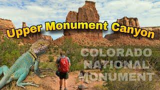 Hiking Upper Monument Canyon | Colorado National Monument