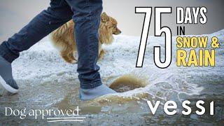 No More Wet Sneakers!  ‍️ Vessi Weekend Review.