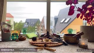 Singing Bowl (Note A) 528 Hz for Meditation & Healing & Sleep: Removes All Negative Energy