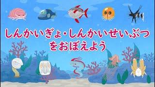 深海魚のたまごアニメ！卵から生まれる深海魚・深海生物は何かな？赤ちゃん・子供向け知育