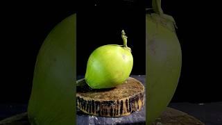 The Coconut Whisperer: Cutting with Style #fruit #coconut #style #asmr #viral #trending #shorts