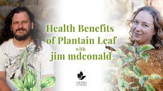 Health Benefits of Plantain Leaf with jim mcdonald