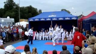 Vanamõisa taekwondo DEMO (17.aug2013) SUURED