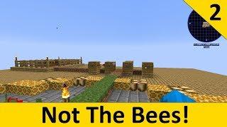 Not The Bees - Part 2 - The Common Common