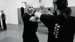 Ving Tsun/Wing Tsun Ausbildung Göksel Erdogan Method /Wong Shun Leung Lineage