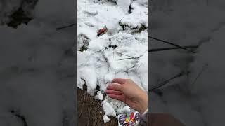 The automatic inflatable small grenade is a very fun little trick toy. Stress relief toys. New Y